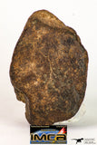 09010 - Almost Complete NWA Unclassified Ordinary Chondrite Meteorite 231.3 g