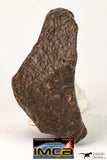 09012 - Almost Complete NWA Unclassified Ordinary Chondrite Meteorite 167 g