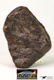 09012 - Almost Complete NWA Unclassified Ordinary Chondrite Meteorite 167 g
