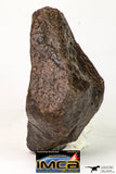 09012 - Almost Complete NWA Unclassified Ordinary Chondrite Meteorite 167 g