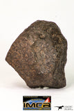 09013 - Almost Complete NWA Unclassified Ordinary Chondrite Meteorite 117.2 g