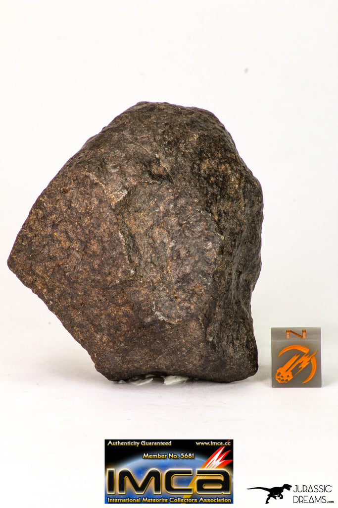 09013 - Almost Complete NWA Unclassified Ordinary Chondrite Meteorite 117.2 g