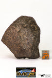 09013 - Almost Complete NWA Unclassified Ordinary Chondrite Meteorite 117.2 g