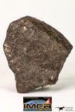 09013 - Almost Complete NWA Unclassified Ordinary Chondrite Meteorite 117.2 g