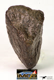 09014 - Almost Complete NWA Unclassified Ordinary Chondrite Meteorite 203.7 g