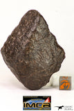 09014 - Almost Complete NWA Unclassified Ordinary Chondrite Meteorite 203.7 g