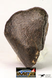 09016 - Almost Complete NWA Unclassified Ordinary Chondrite Meteorite 124.6 g