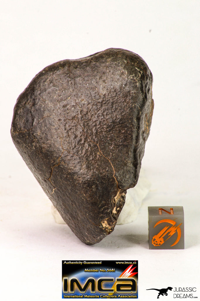 09016 - Almost Complete NWA Unclassified Ordinary Chondrite Meteorite 124.6 g