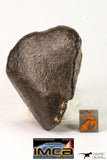 09016 - Almost Complete NWA Unclassified Ordinary Chondrite Meteorite 124.6 g