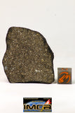 09017 -Top Beautiful NWA End Cut Polished Section of Chondrite Meteorite Type L3  26.8 g