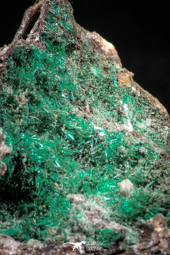 06275 -  Well Crystallized Acicular Brochantite with Quartz from South Morocco