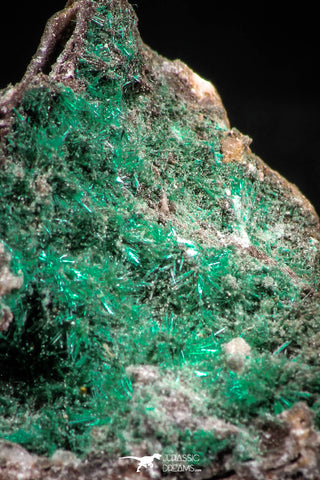 06275 -  Well Crystallized Acicular Brochantite with Quartz from South Morocco