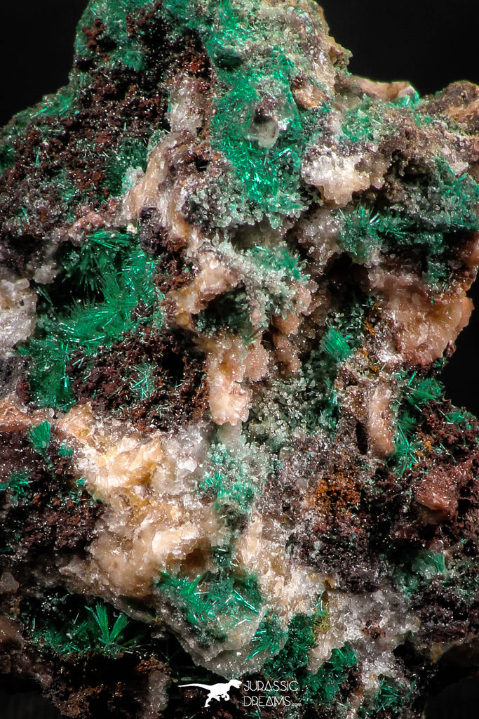 06277 -  Well Crystallized Acicular Brochantite with Quartz from South Morocco