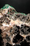06277 -  Well Crystallized Acicular Brochantite with Quartz from South Morocco