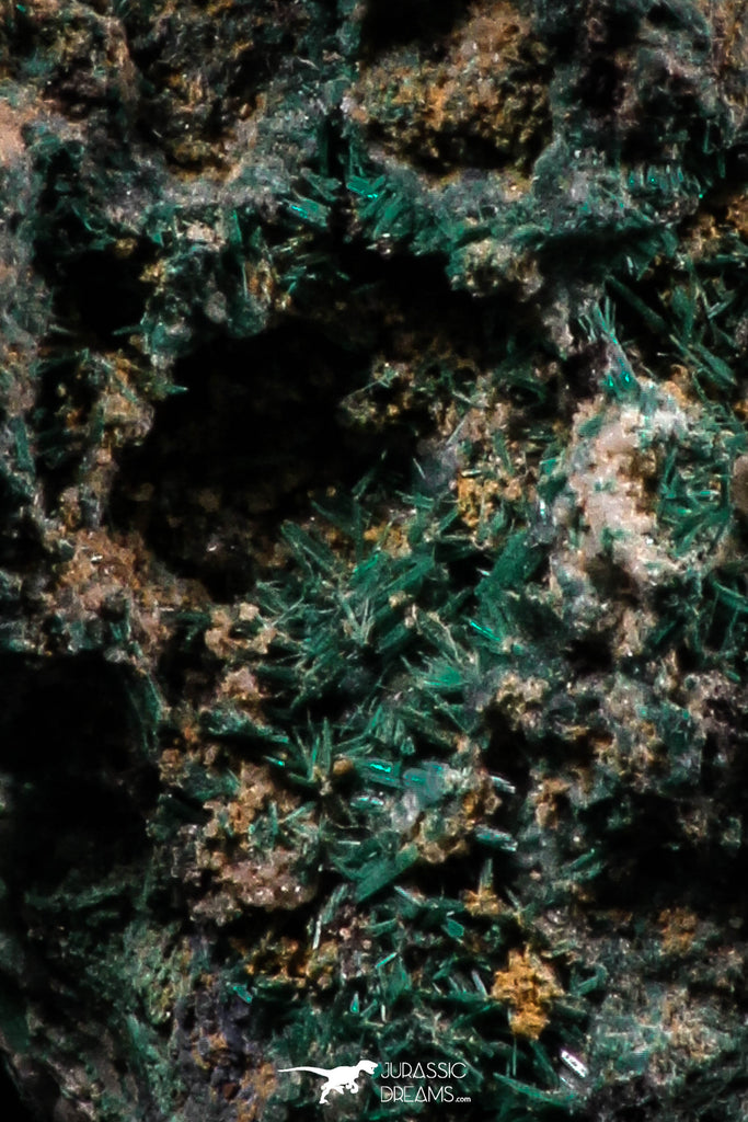 06278 -  Well Crystallized Acicular Brochantite with Quartz from South Morocco