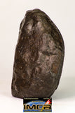 09025 - Complete NWA H6 Type Ordinary Chondrite Meteorite with Fusion Crust & Polished Endcut 430.1g