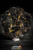 22300 - Sericho Pallasite Meteorite Polished Thin Section Fell in Kenya 15.903 g