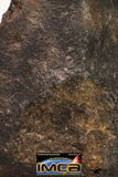 09029 - Partial Complete NWA Unclassified Ordinary Chondrite Meteorite 43.6 g With Fusion Crust