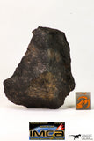 09029 - Partial Complete NWA Unclassified Ordinary Chondrite Meteorite 43.6 g With Fusion Crust