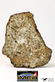 09029 - Partial Complete NWA Unclassified Ordinary Chondrite Meteorite 43.6 g With Fusion Crust