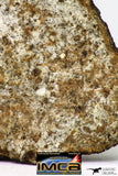 09029 - Partial Complete NWA Unclassified Ordinary Chondrite Meteorite 43.6 g With Fusion Crust