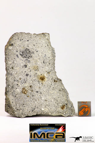 09033 - Top Rare NWA Howardite Achondrite Meteorite Polished Section 55.6 g