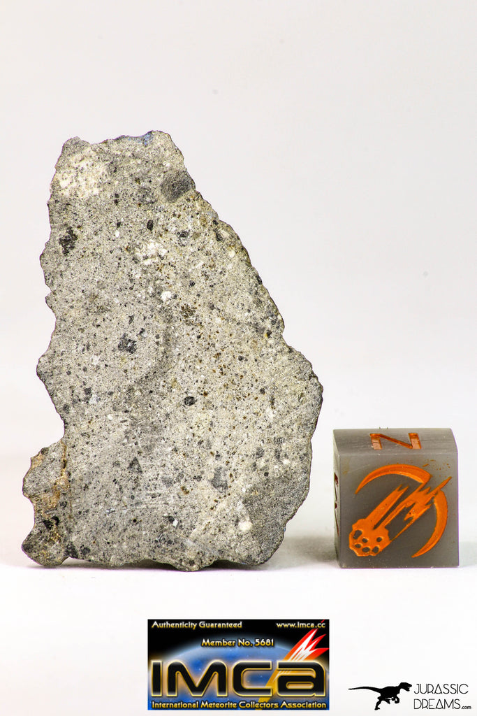 09035 - Top Rare NWA Howardite Achondrite Meteorite Polished Section Endcut 6.1 g