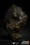 22386 - NWA Unclassified Chondrite LL3 Meteorite 167.4 g with Fusion Crust