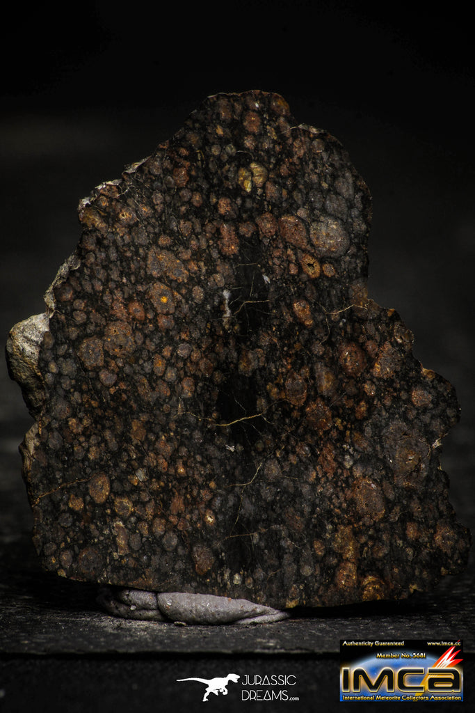 22375 - Polished Thin Section NWA Unclassified Carbonaceous Chondrite CV3 7.83 g