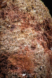 06353 - Beautiful Spinosaurus - Crocodile 1.83 Inch Coprolite with Digested Fish Scales