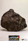 09098 - Complete Oriented NWA Unclassified Ordinary Chondrite Meteorite 4573 g With Fusion Crust