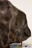 09098 - Complete Oriented NWA Unclassified Ordinary Chondrite Meteorite 4573 g With Fusion Crust
