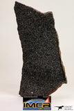 09099 -Top Rare Museum Grade NWA Polished Section of Enstatite Chondrite EL6 147.2 g