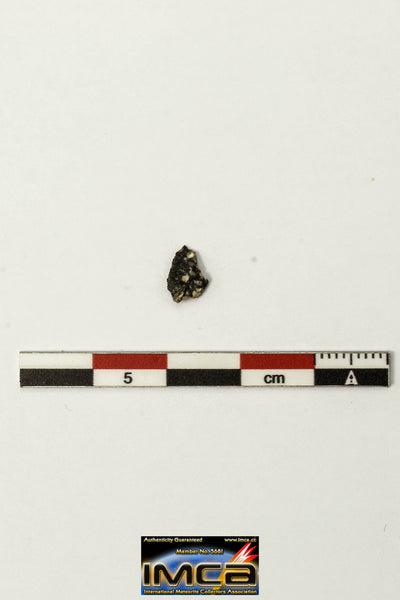 Lunar Meteorite Paired with 