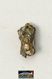 22251 - Lunar Meteorite Paired with "NWA 11273" 0.125 g (Feldspathic Regolith Breccia)