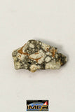 22263- Lunar Meteorite Paired with "NWA 11273" 0.225 g (Feldspathic Regolith Breccia)