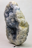 09106 - Superb Celestine Geode Madagascar - 2410 g