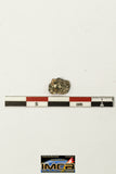 22266 - Lunar Meteorite Paired with "NWA 11273" 0.294 g (Feldspathic Regolith Breccia)