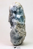09108 - Superb Celestine Geode Madagascar -712.2 g