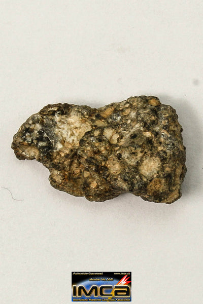 Lunar Meteorite Paired with 