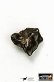 22270 - Top Rare NWA 10023 Anomalous Plessitic Pallasite Meteorite PMG-an 0.489 g