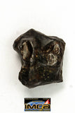 22271- Top Rare NWA 10023 Anomalous Plessitic Pallasite Meteorite PMG-an 1.886 g