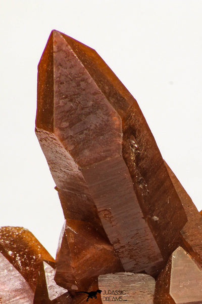 IMG_4208_a3851bb9-0653-4a50-