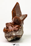 09111 - Top Beautiful 3.83 Inch Natural Red Iron-Oxide Coated Quartz Crystals Cluster