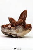 09111 - Top Beautiful 3.83 Inch Natural Red Iron-Oxide Coated Quartz Crystals Cluster