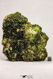 09113 - Slender Grass Green Epidote Crystals on Matrix Imilchil Mine Morocco