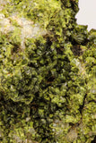 09113 - Slender Grass Green Epidote Crystals on Matrix Imilchil Mine Morocco
