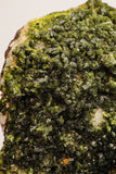 09113 - Slender Grass Green Epidote Crystals on Matrix Imilchil Mine Morocco
