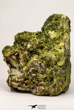 09113 - Slender Grass Green Epidote Crystals on Matrix Imilchil Mine Morocco
