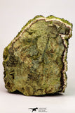 09113 - Slender Grass Green Epidote Crystals on Matrix Imilchil Mine Morocco
